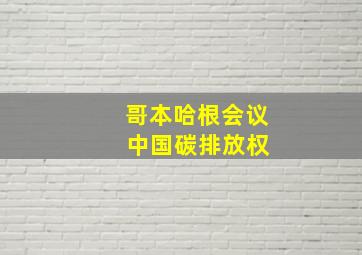 哥本哈根会议 中国碳排放权